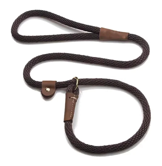 Slip Lead Training Dog Leash