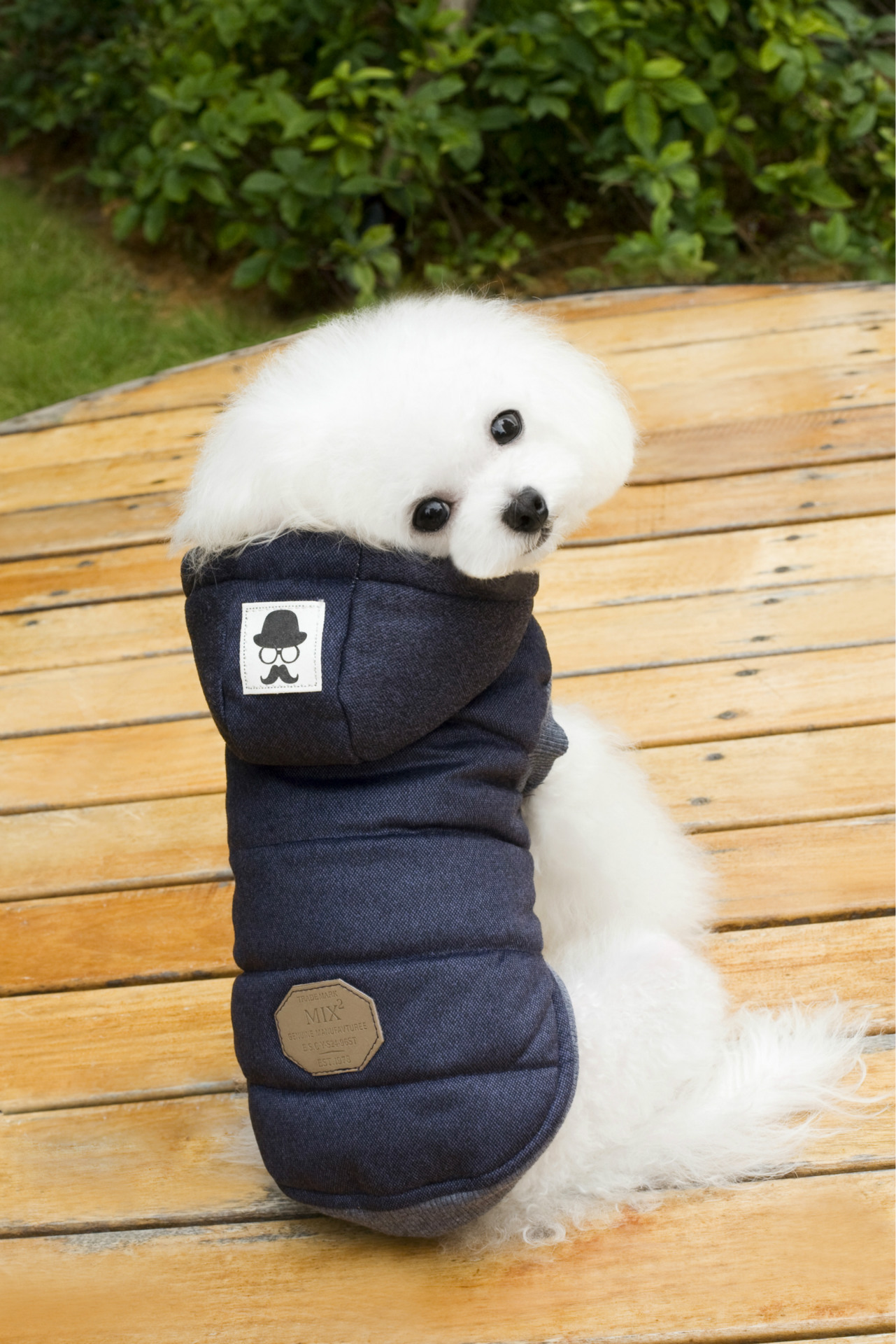 Coat for Dogs